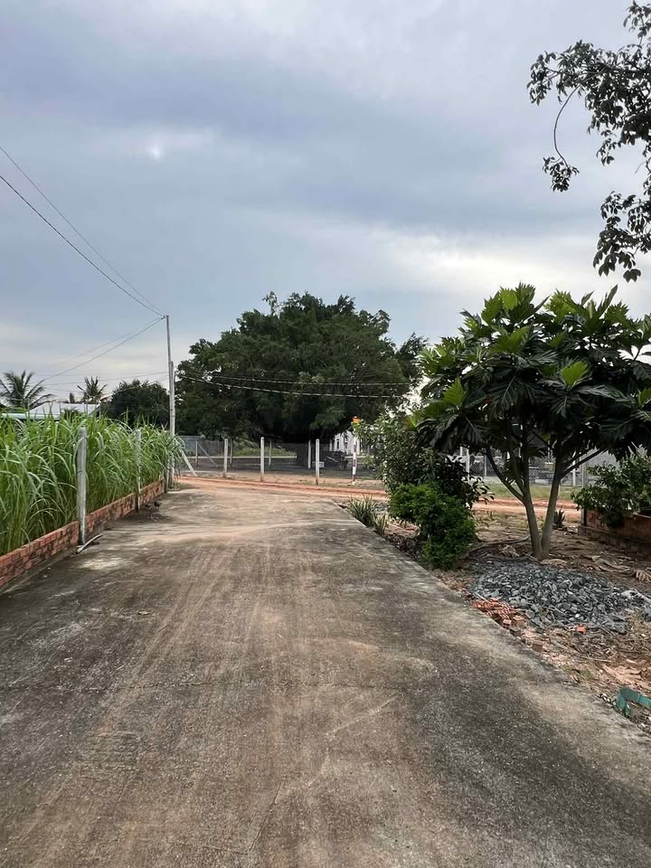 Bán gấp nhà ấp Nam Bến Sỏi, xã Thành Long, 800m² - Nhà cấp 4 mới, giá tốt!