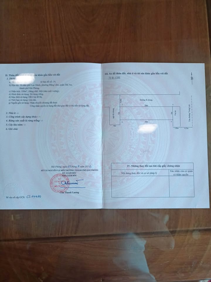 Đất mặt đường Trung Lực, Đằng Lâm, 100m² giá 7.5 tỷ - Cơ hội đầu tư sinh lời!