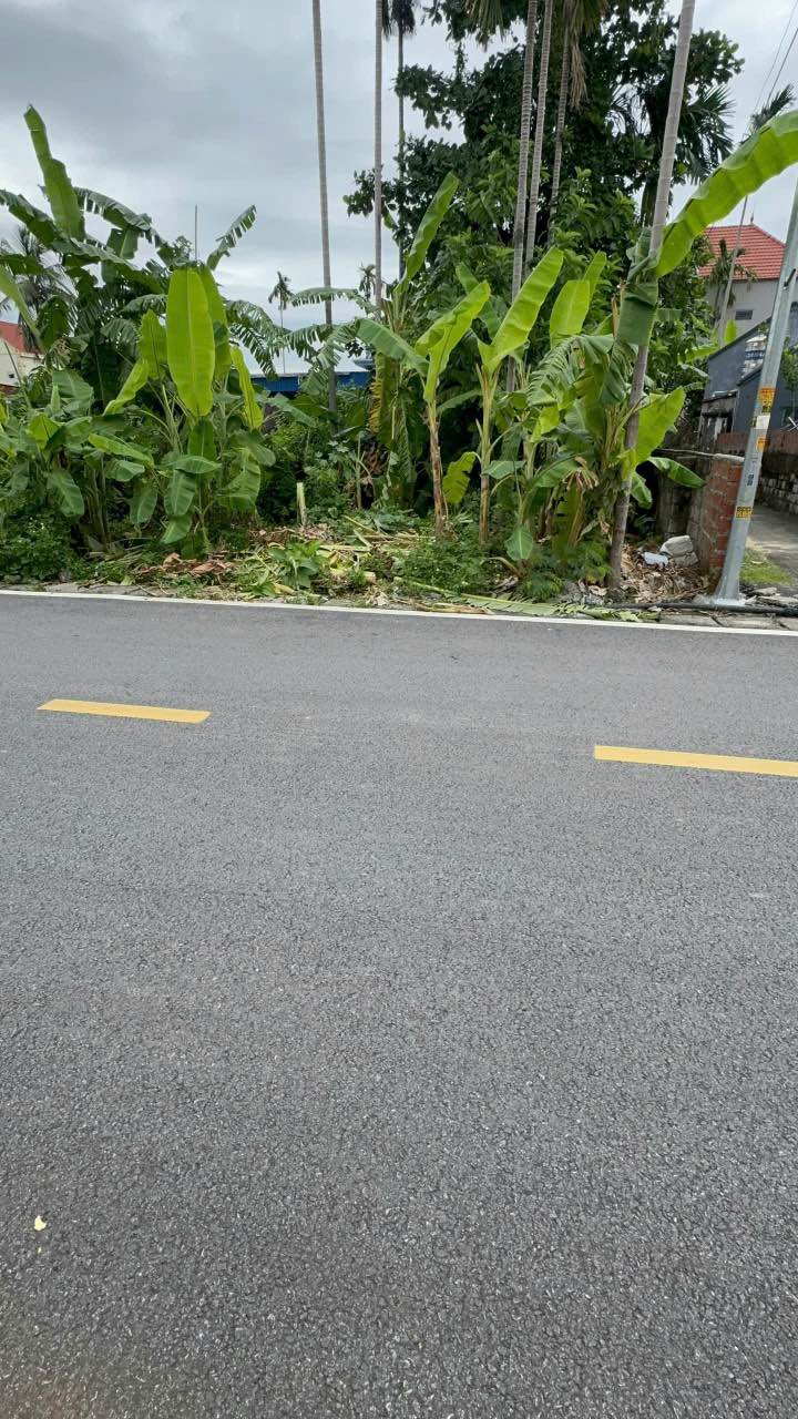 Đất thổ cư Thôn Đông, xã Lâm Động 79.2m² giá 2 tỷ - Đầu tư sinh lời!