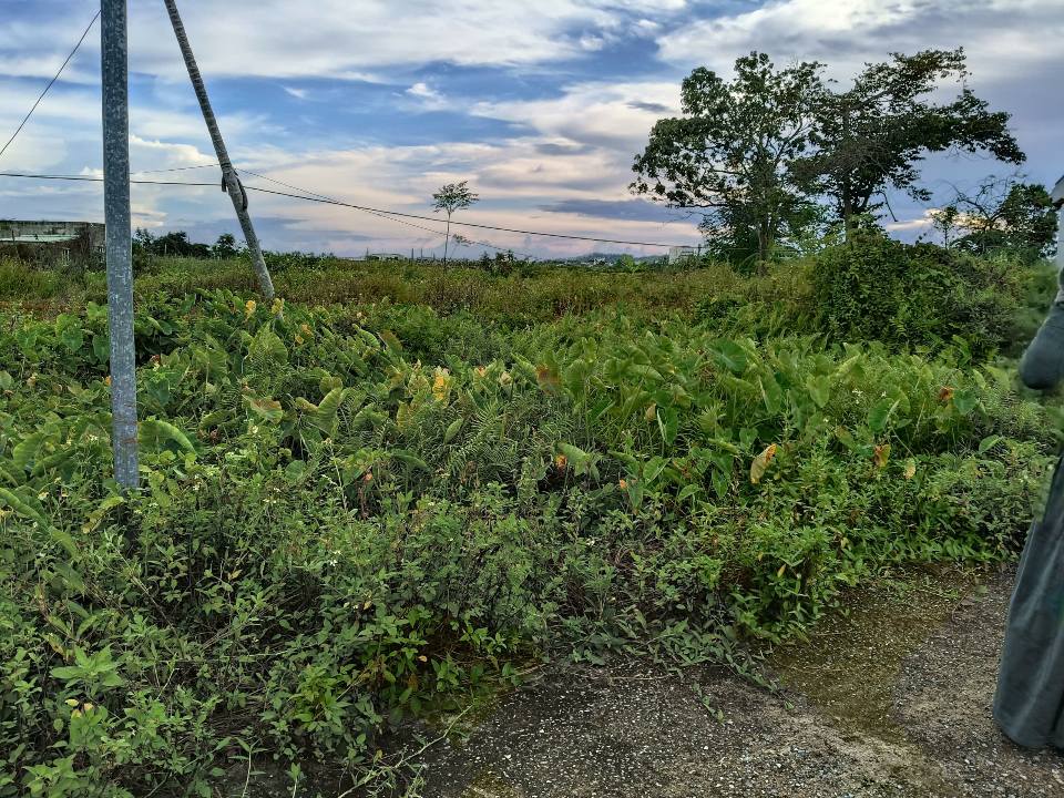 Đất nền An Hải, An Dương 77m² giá 880 triệu - Đầu tư sinh lời ngay!