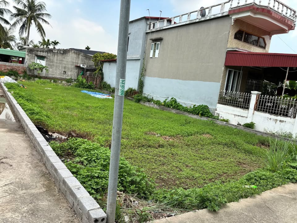 Đất Hợp Đức Đồ Sơn 300m² giá chỉ 3 tỷ - Lô góc cực hiếm ngay chợ Quyết Tiến!