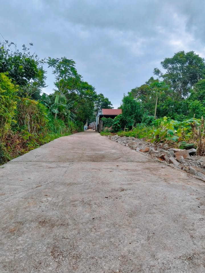 Đất nền Nghĩa Đàn 323m² giá 500 triệu - Cơ hội đầu tư tuyệt vời!