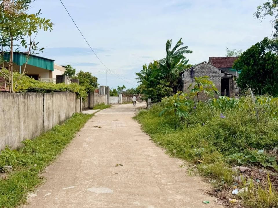 Đất thổ cư Thôn 6, Xã Quỳnh Tân 125m² giá chỉ 500 triệu - Sổ đỏ chính chủ!