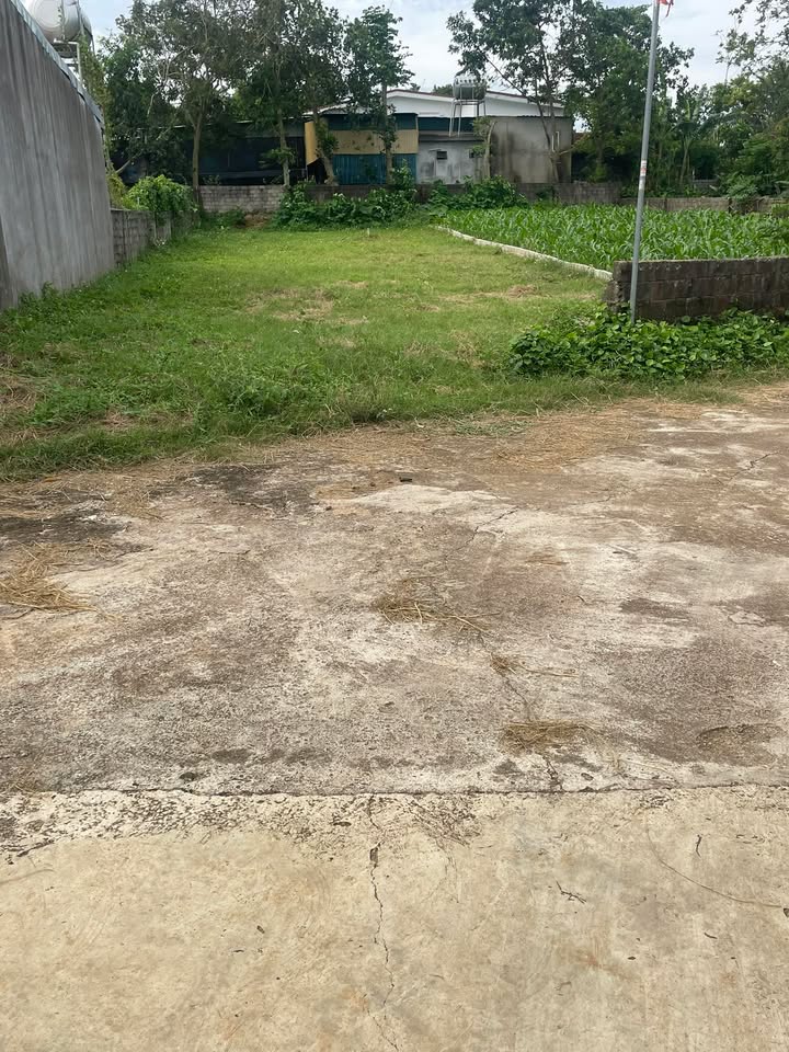 Đất nền khu phố 9, phường Nghĩa Thuận 297m² - Vị trí đẹp, giá thỏa thuận!