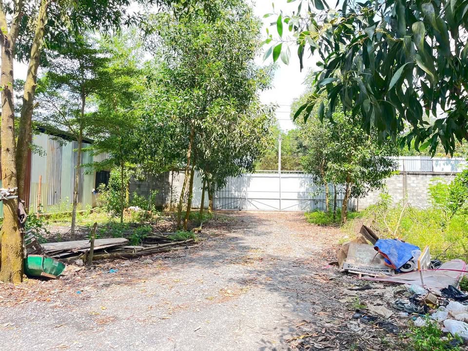 Cho thuê kho xưởng 1700m² gần KCN Giang Điền - Giá chỉ 7.5 triệu/tháng!