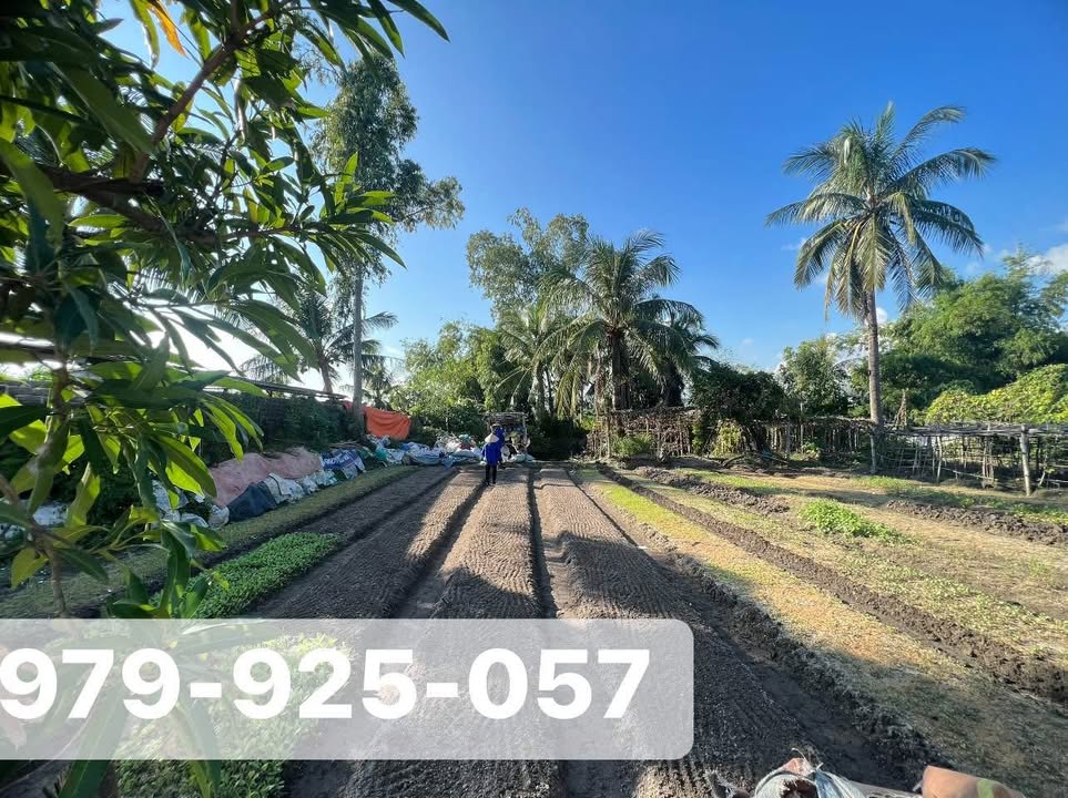 Đất nền chính chủ Quang Trung, Uông Bí 100m² giá 1 tỷ - Đầu tư sinh lời ngay!