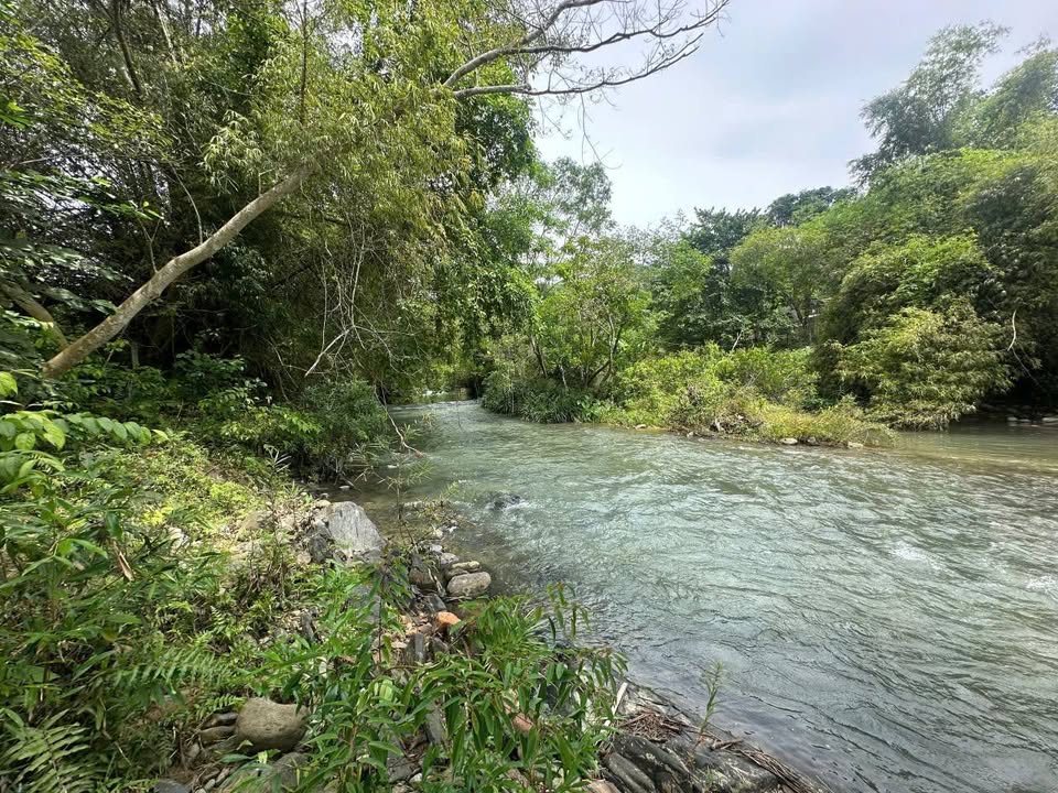 Đất nền Khánh Thành, Khánh Vĩnh 500m² giá 300 triệu - Đầu tư sinh lời ngay!