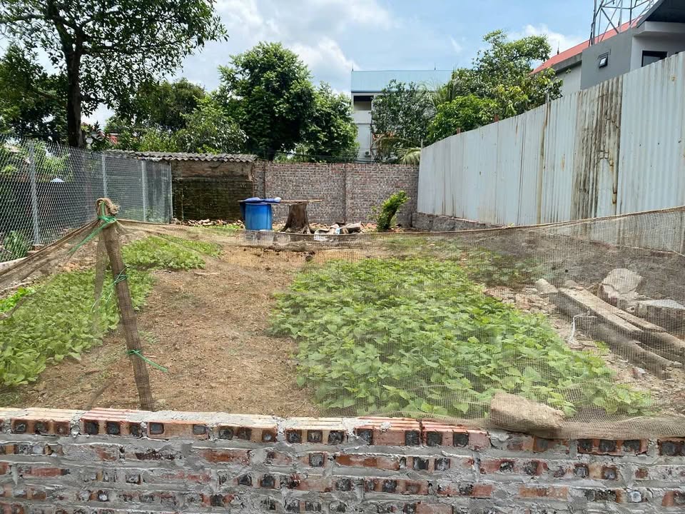 Đất nền Minh Trí Sóc Sơn 91m² giá 1.5 tỷ - Ô tô 7 chỗ vào tận đất!