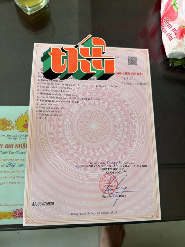 Đất nền chính chủ tại xã Nội Bài, Sóc Sơn 176m² - Giá chỉ 3 tỷ