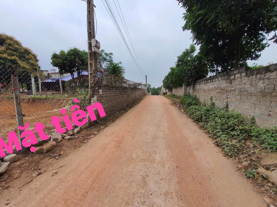 Đất nền Quang Thịnh Lạng Giang 200m² giá chỉ vài trăm triệu - Đầu tư sinh lời ngay!