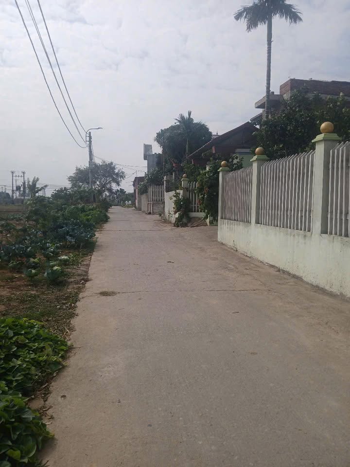 Đất nền Quế Tân 150m² giá 2 tỷ - Cạnh khu công nghiệp, thuận tiện phát triển!