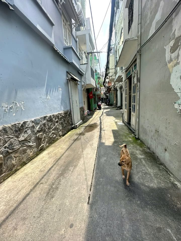 Nhà phố Cách Mạng Tháng 8, Quận 10, 24m², giá 5 tỷ - Hẻm xe hơi an ninh!