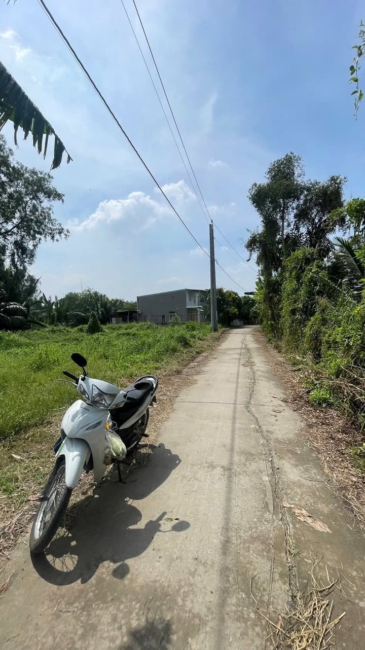 Đất thổ cư 139m² + 370m² đất vườn mặt tiền đường Rạch Rít - Giá 2.4 tỷ - Đầu tư sinh lời!