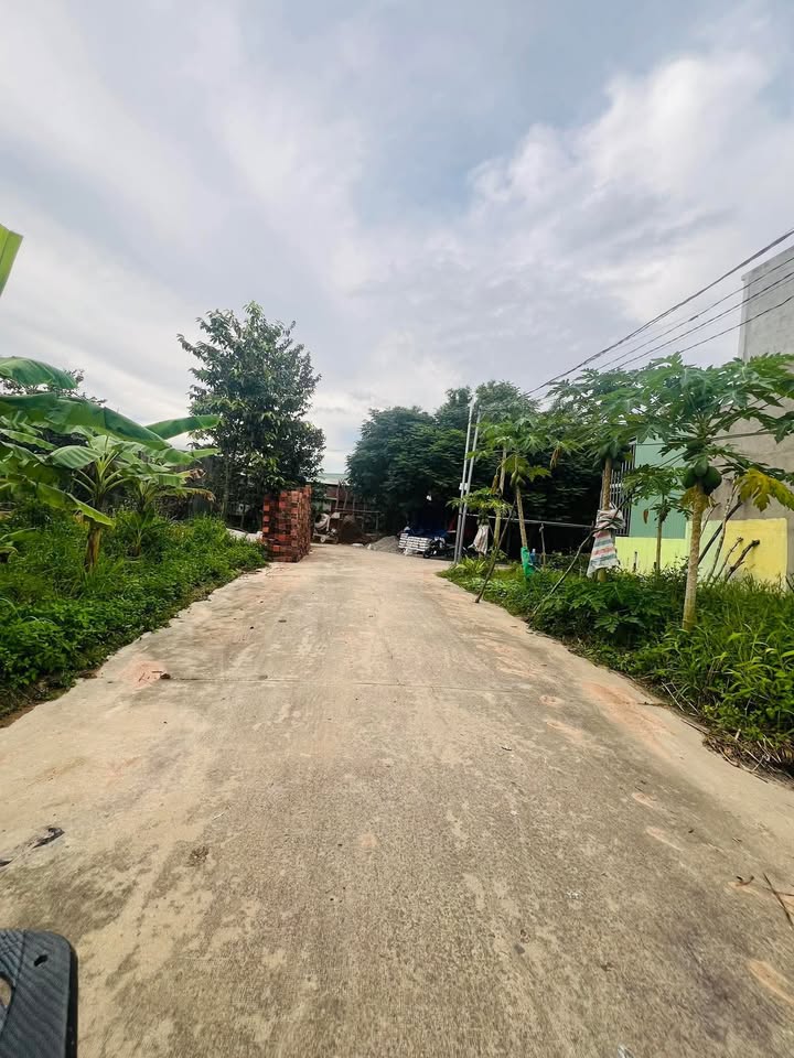 Đất thổ cư Trảng Bom 100m² giá 500 triệu - Xây dựng tự do!