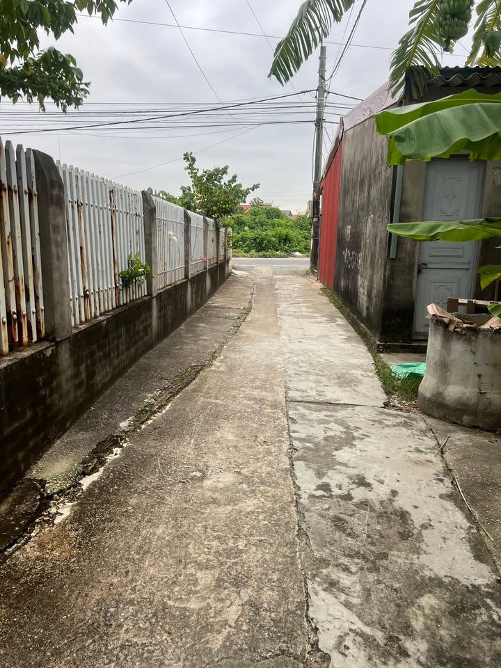 Đất nền An Hải, An Dương 65m² - Cơ hội đầu tư vàng tại công viên Đặng Cương!