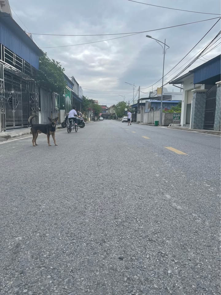 Đất nền An Hòa, Hải Phòng 83m² giá 927 triệu - Đầu tư sinh lời ngay!