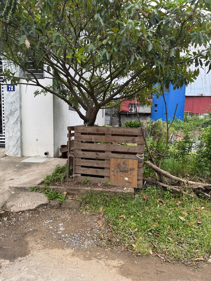 Đất nền 100m² Tổ dân phố Kinh Giao, An Dương - Giá chỉ 2.05 tỷ, mặt đường nhựa 10m!