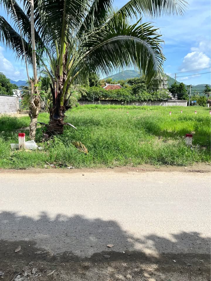 Đất nền Diên Phú 84.6m² giá 1.099 tỷ - Bán gấp, bớt lộc!