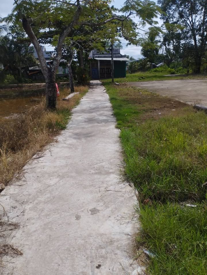 Đất nền Tài Văn Trần Đề 525m² giá 100 triệu - Sổ hồng chính chủ!