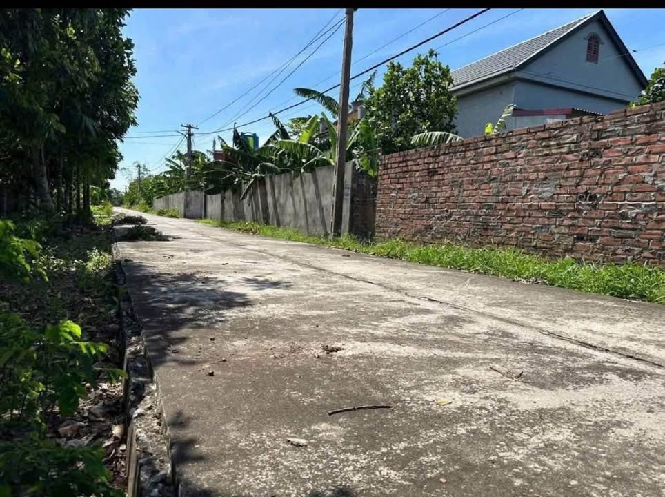 Đất nền Thuần Thành Thái Bình 100m² giá 500 triệu - Đường ô tô tránh nhau!