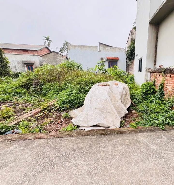 Đất nền Đỗ Động, Thanh Oai 65.4m² - Mặt tiền rộng, giá chỉ 3.25 tỷ!