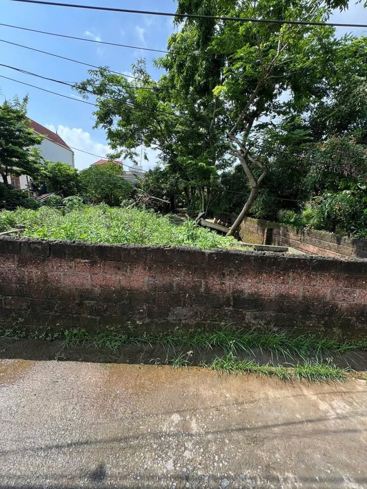 Đất đẹp Hồng Vân Thường Tín 80m² giá 6.4 tỷ - Mặt tiền rộng, sẵn sàng đầu tư!