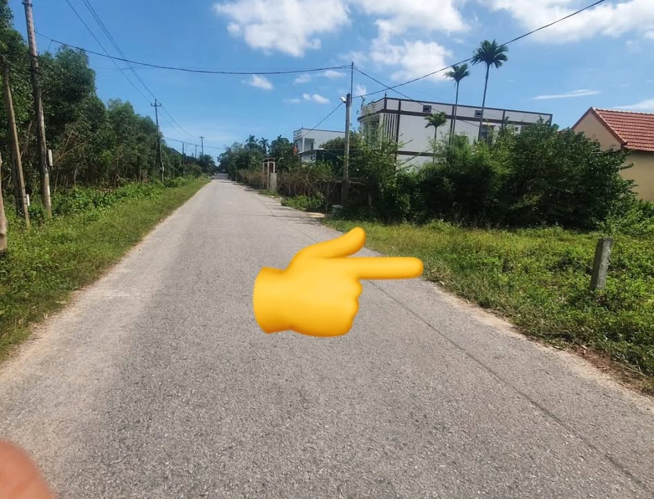 Đất nền mặt tiền đường nhựa Đồng Sơn 232m² giá chỉ 310 triệu - Cơ hội đầu tư hấp dẫn!