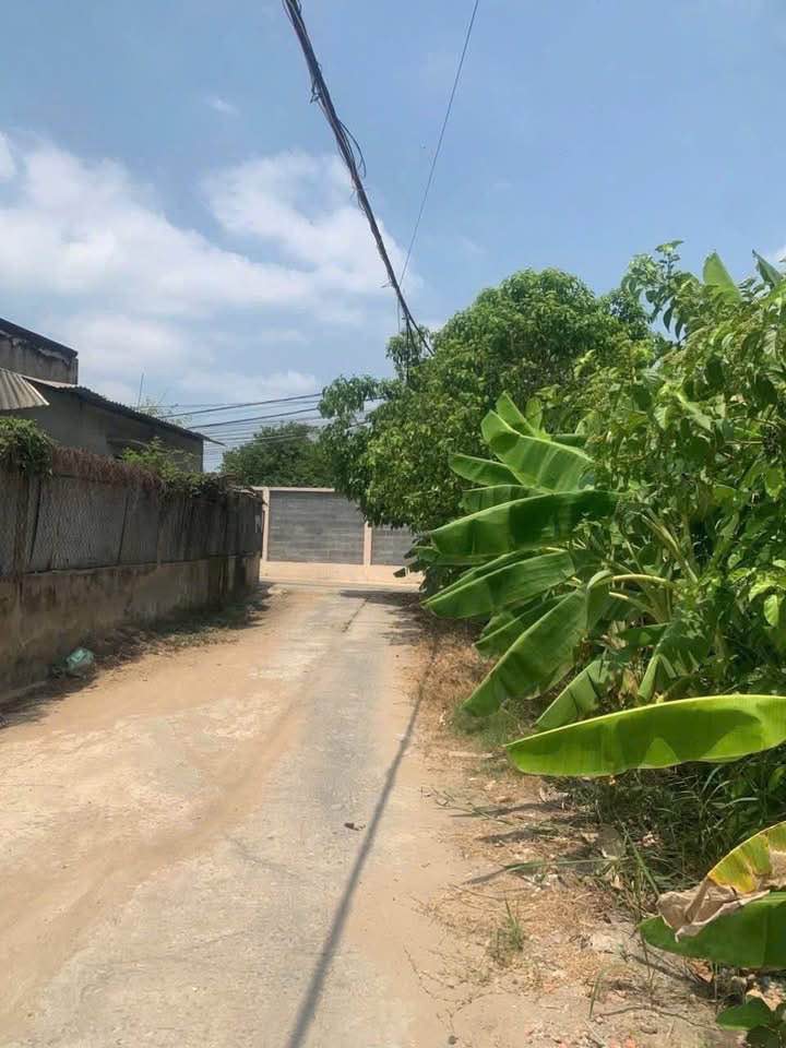 Đất thổ cư tại Mỹ Phong, Tiền Giang 144m² giá 790 triệu - Sổ hồng chính chủ