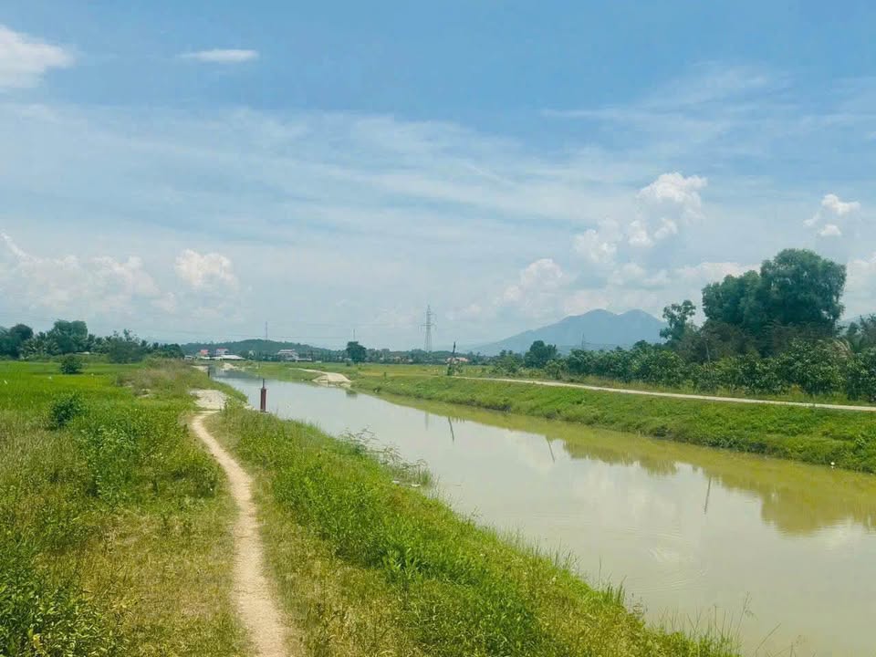 Đất ruộng 845m² tại Bình Lộc, Diên Khánh giá 295 triệu - Cơ hội đầu tư tuyệt vời!