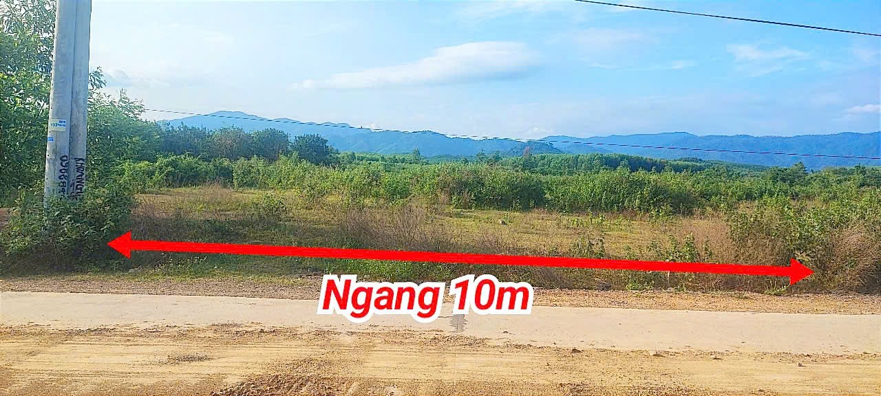 Đất thổ cư Khánh Hiệp 891m² giá chỉ 920 triệu - Cơ hội đầu tư tuyệt vời!