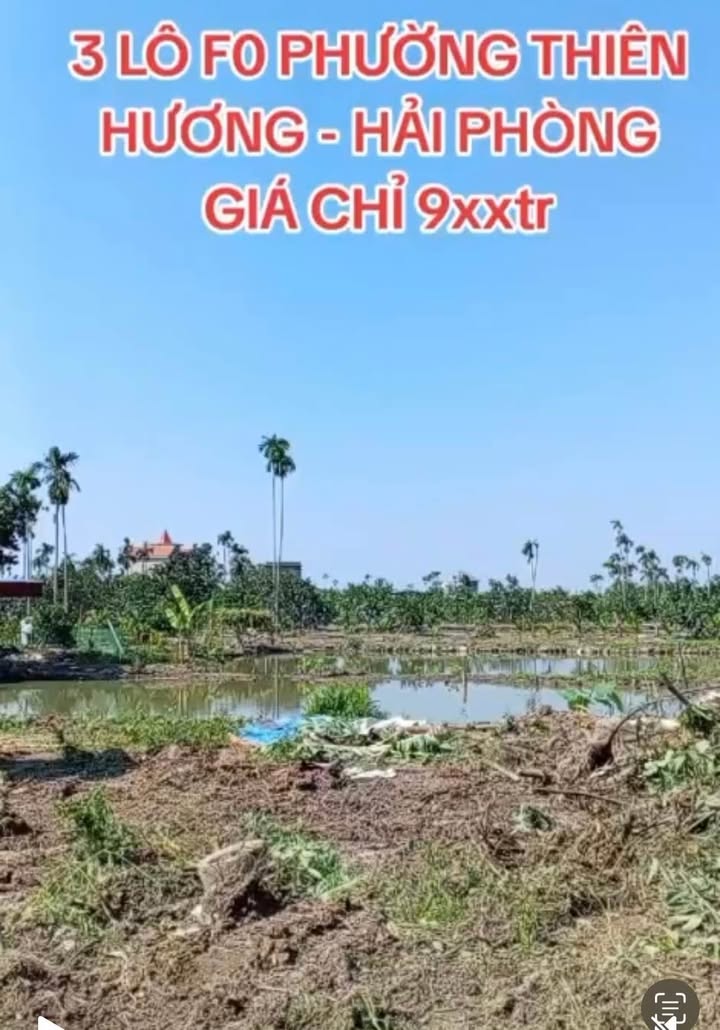 Đất nền Thiên Hương Thủy Nguyên 60m² giá 900 triệu - Đường ô tô vào tận nơi!