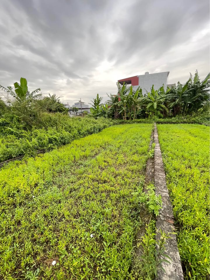 Lô đất vàng Hưng Đạo, Hải Phòng 108m² giá chỉ 3.24 tỷ - Đầu tư sinh lời cao!