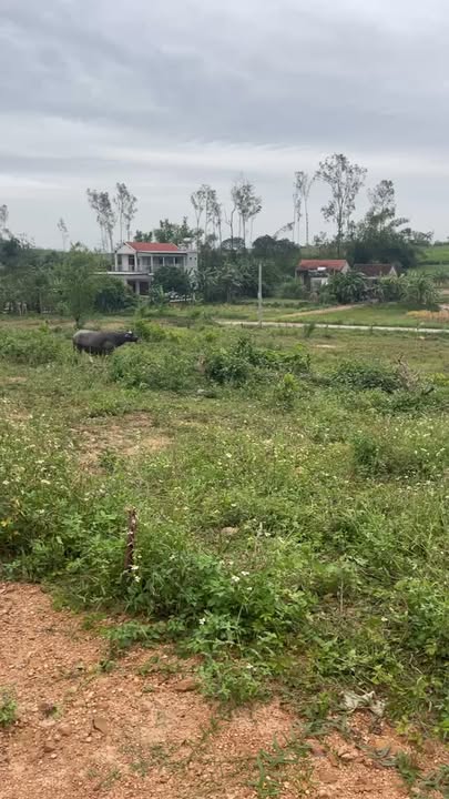 Đất nền thổ cư Quỳnh Tân 144m² giá 400 triệu - Sổ đỏ chính chủ, pháp lý rõ ràng!