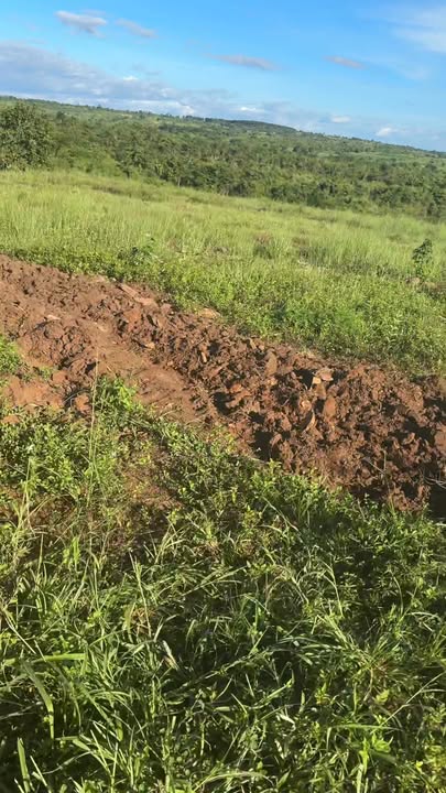 Đất nông nghiệp 21ha tại Ia Vê, Chư Prông giá chỉ 220 triệu - Tiềm năng đầu tư lớn!