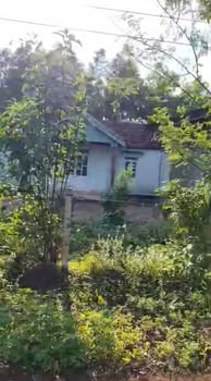 Lô đất nông nghiệp Đăk Trôi Mang Yang 23.000m² giá 3 tỷ - Cơ hội đầu tư hấp dẫn!