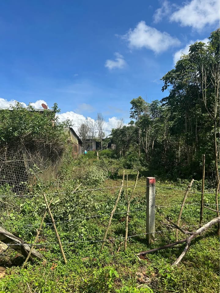 Đất nền Biển Hồ Pleiku 125m² giá chỉ 300 triệu - Cơ hội đầu tư tuyệt vời!