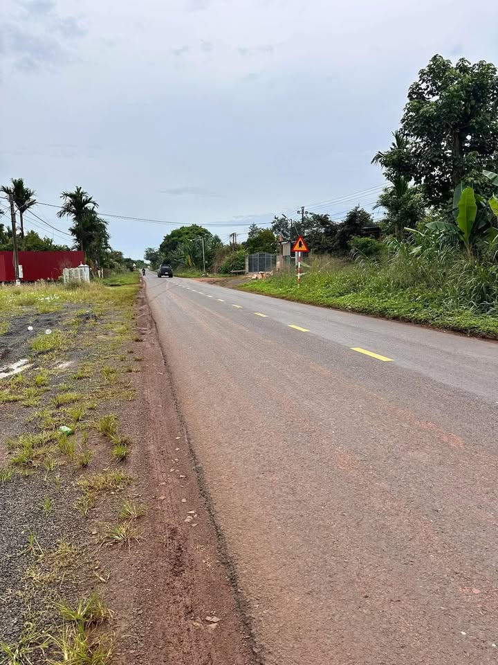 Đất nền chính chủ bán gấp tại đường Tỉnh lộ 3, xã Phú Xuân, 600m² - Giá chỉ 725 triệu!