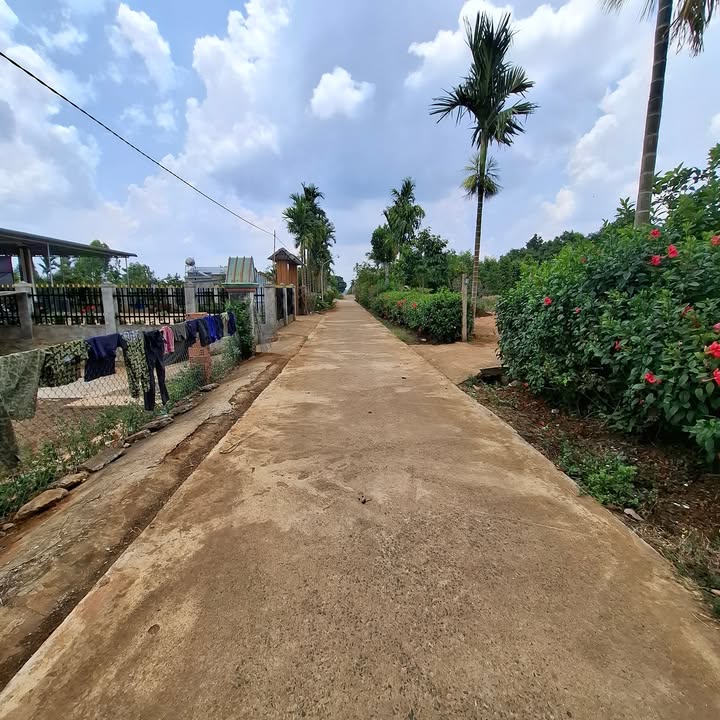 Đất nền Tam Giang, Krông Năng 200m² giá 350 triệu - Sổ hồng chính chủ!