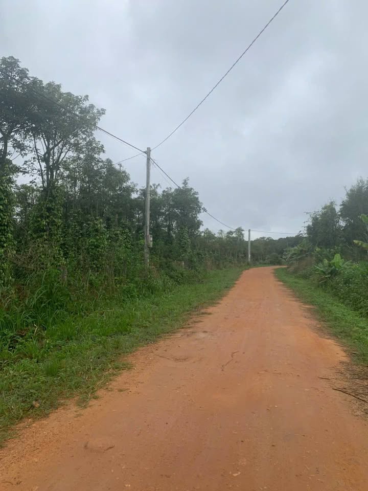 Đất nông nghiệp Cư Ni, Ea Kar 1,2ha giá 1,95 tỷ - Chính chủ bán gấp!