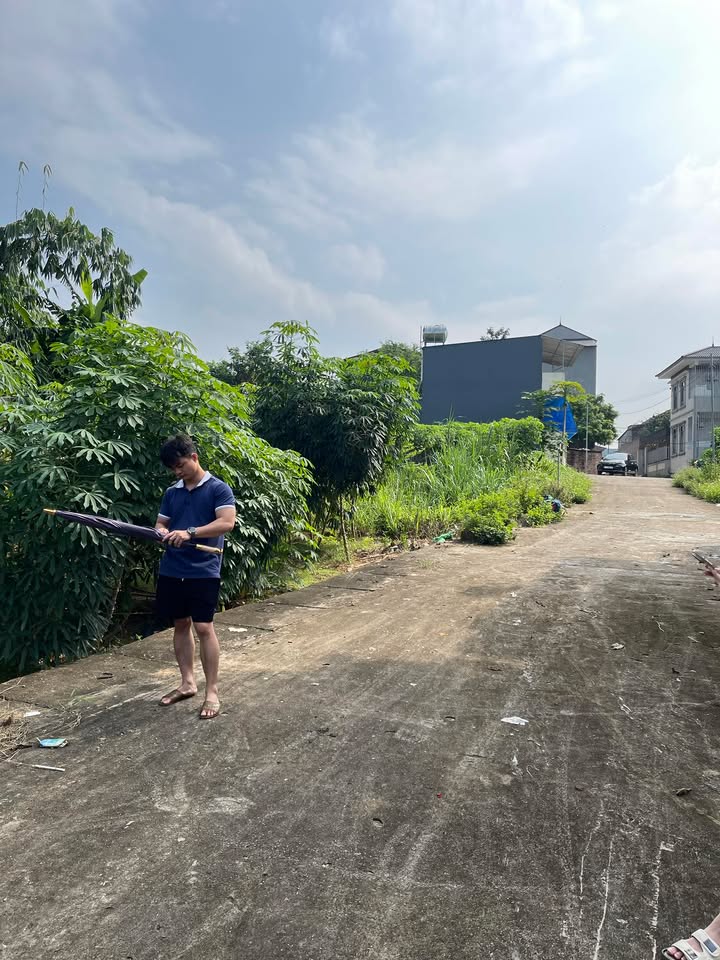 Đất thổ cư 84m² khu rừng tre Thanh Đình - Giá chỉ 1 tỷ, mặt tiền 5m