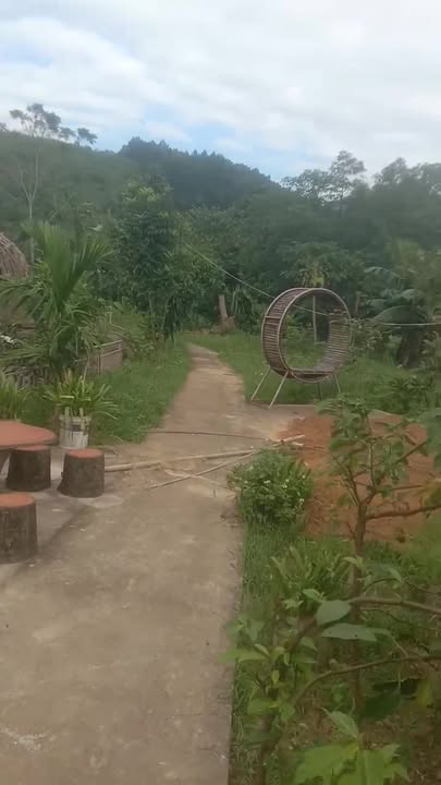 Đất Farm kinh doanh dịch vụ tại Võ Miếu 5000m² - Cơ hội đầu tư hấp dẫn!