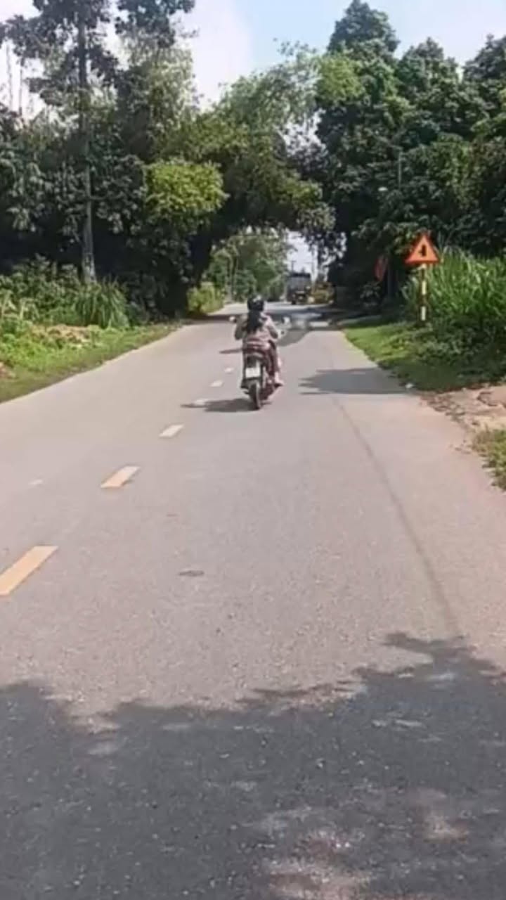 Đất thổ cư 140m² tại xã Phù Ninh, Việt Trì - Vị trí kinh doanh đắc địa!