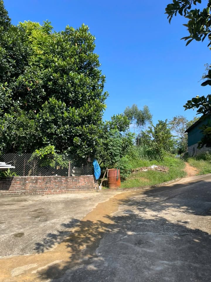 Đất Dân Lô Góc Thoáng Sáng Hà Lộc, Phú Thọ 127m² giá 700 triệu - Đầu tư thông minh!