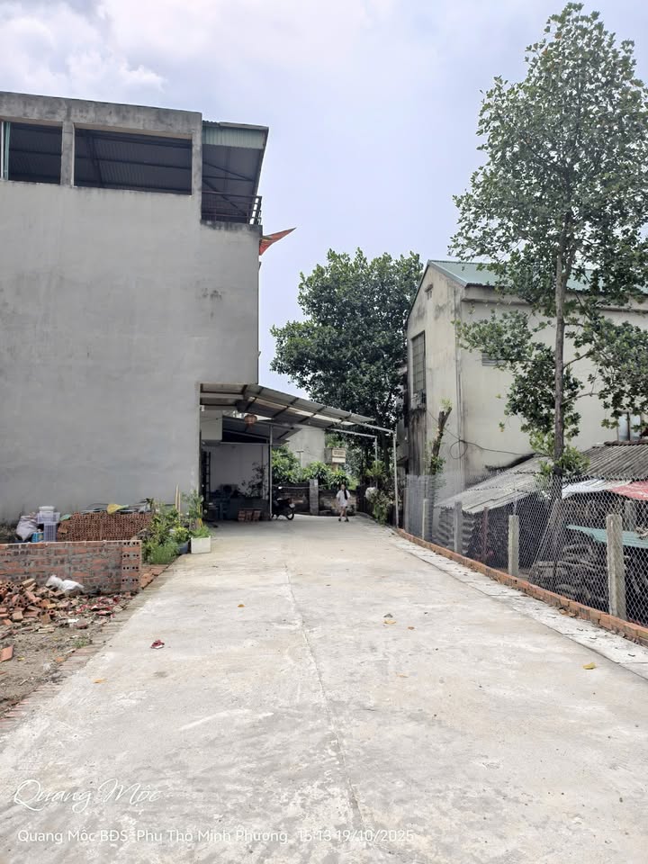 Đất nền phường Minh Phương – Việt Trì 110,3m² - Sổ đỏ chính chủ ngay trung tâm!