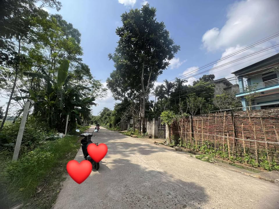 Đất thổ cư Phù Ninh, Phú Thọ 300m² giá 1.8 tỷ - Thế đất tựa đồi, xây nhà vườn lý tưởng!