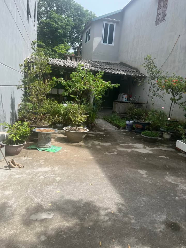 Đất thổ cư 100m² tại Dữu Lâu, Việt Trì - Giá chỉ 2.3 tỷ, sổ đỏ chính chủ!