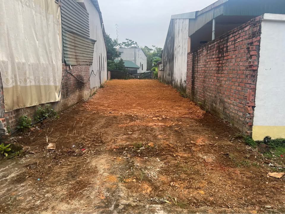 Đất nền Trưng Vương Việt Trì 114m² giá 3.1 tỷ - Vị trí vàng gần khu đô thị!