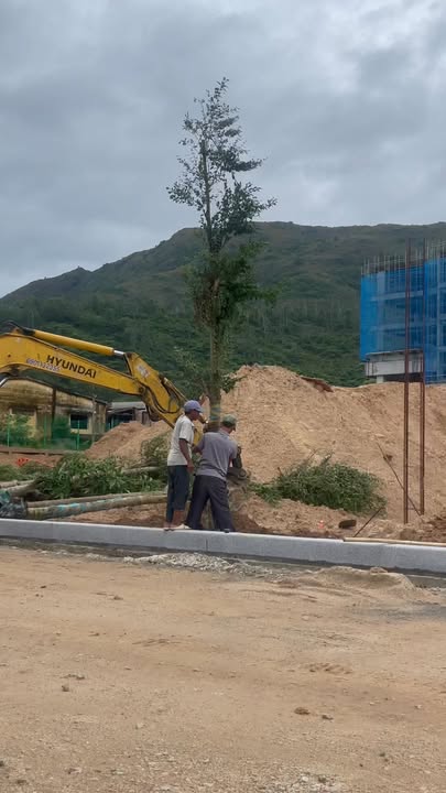 Đất dự án Solrise Nhơn Phú 2 10.000m² - Không gian sống xanh mát tại Quy Nhơn!