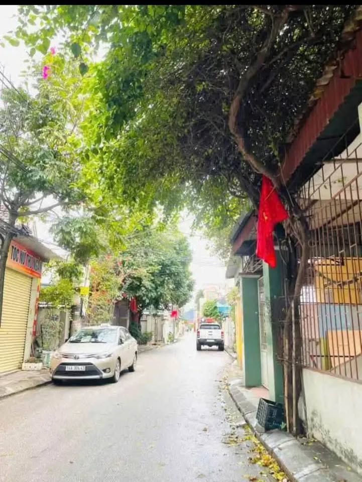 Đất nền Cẩm Bình 50m² giá 800 triệu - Vị trí đẹp, tiện ích đầy đủ!