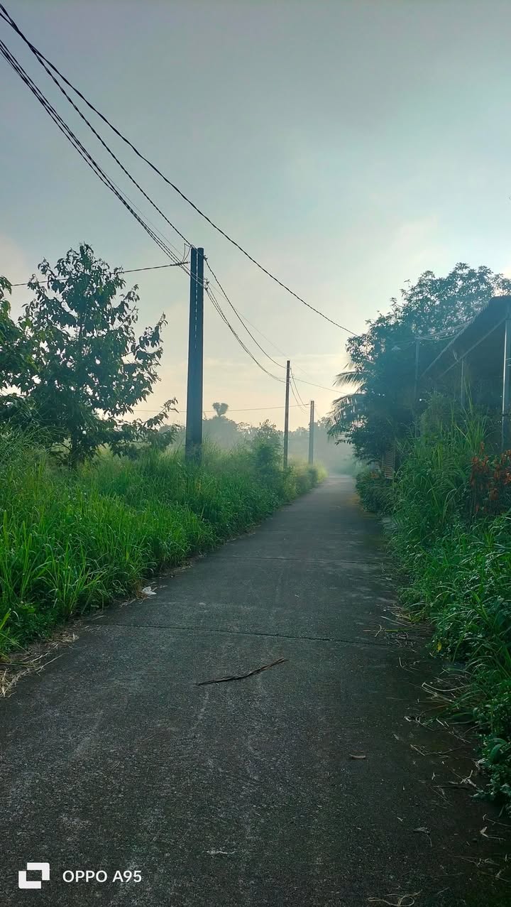 Đất thổ cư 150m² tại Hưng Lộc, Đồng Nai - Đường bê-tông thông, giá chỉ 800 triệu!